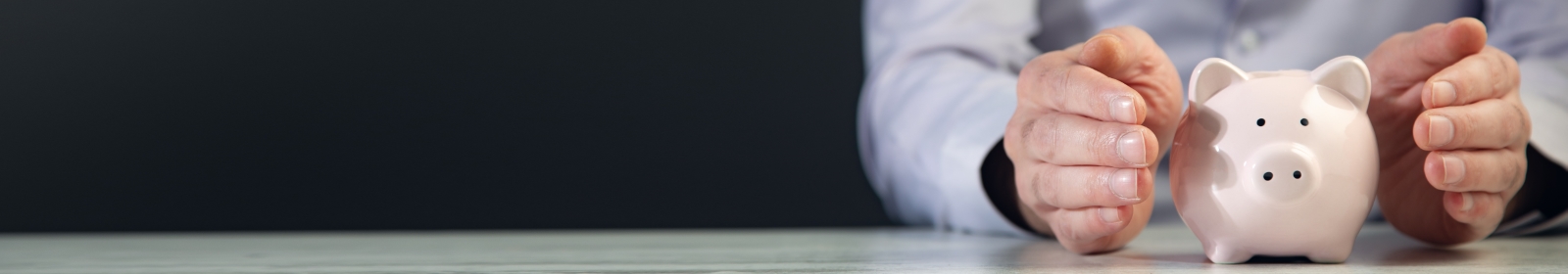 professional with hands around a piggybank